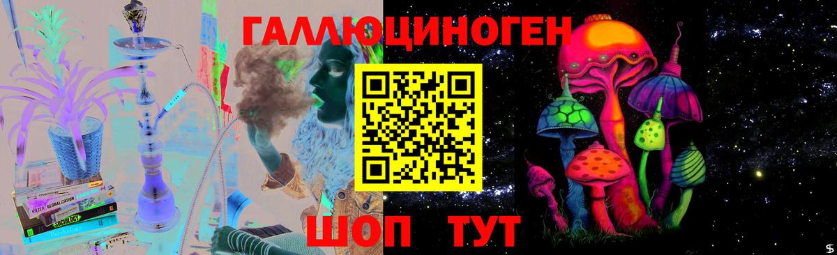 где купить   Галлюциногенные грибы Psilocybine cubensis  Вход с VPN  Химки  Псилоцибиновые грибы Magic Shrooms 
